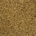 dorset gold-bac