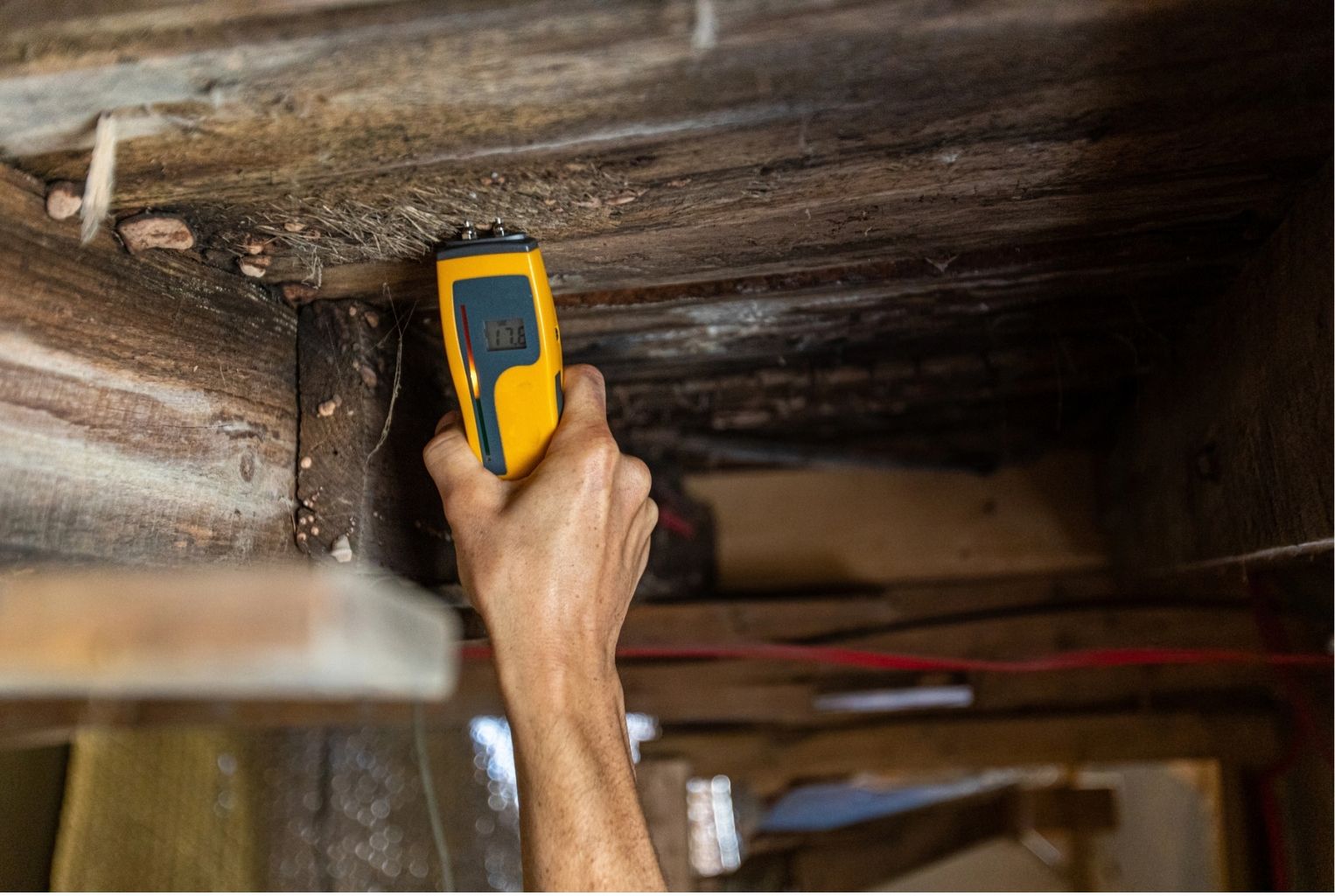 Damp Surveys in Birmingham
